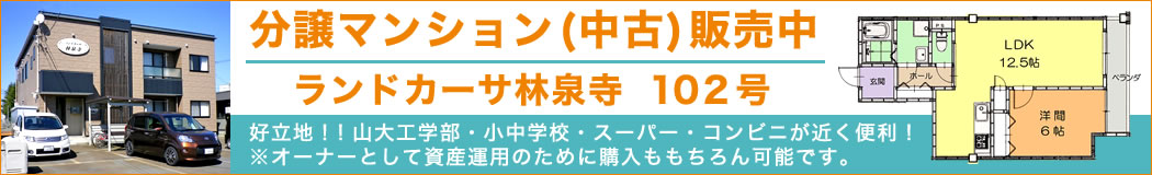分譲マンション（中古）販売中「ランドカーサ林泉寺 102号」