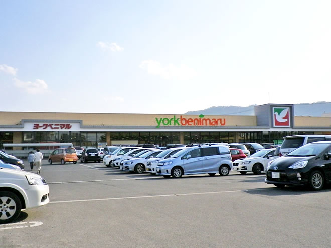売土地 米沢市大町1丁目 周辺施設 ヨークベニマル
